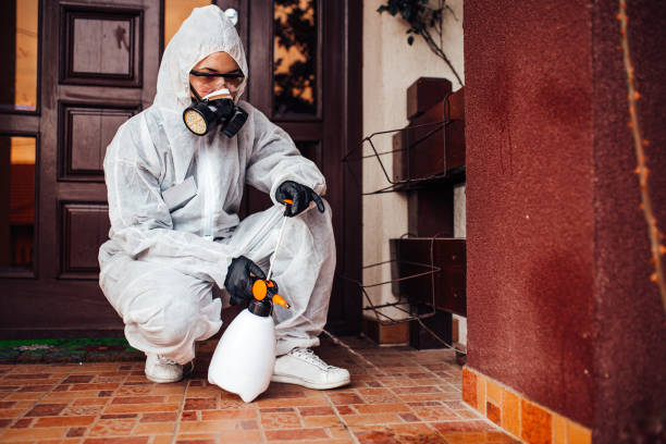 Attic and Crawl Space Rodent Treatment in Woodbine